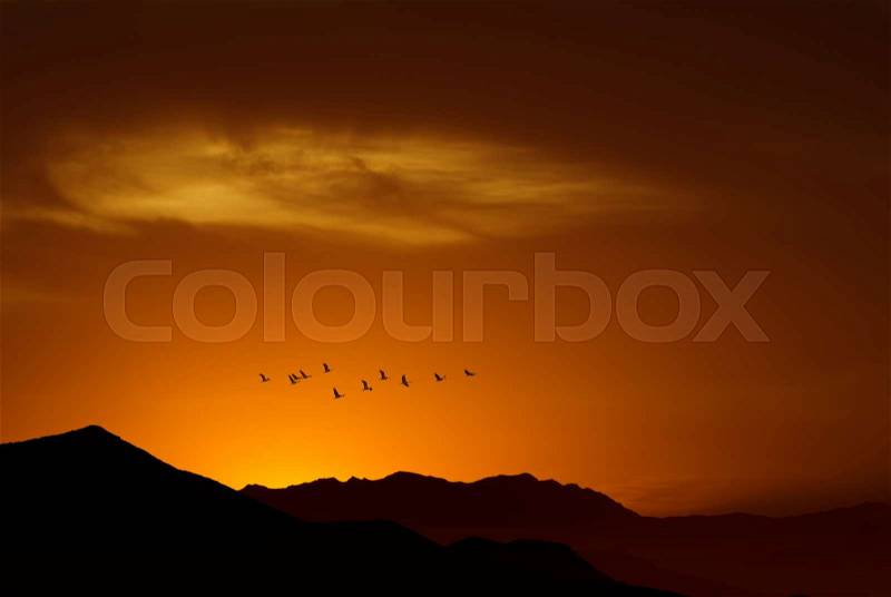 Birds over bright sunny yellow sky background with copy space, stock photo