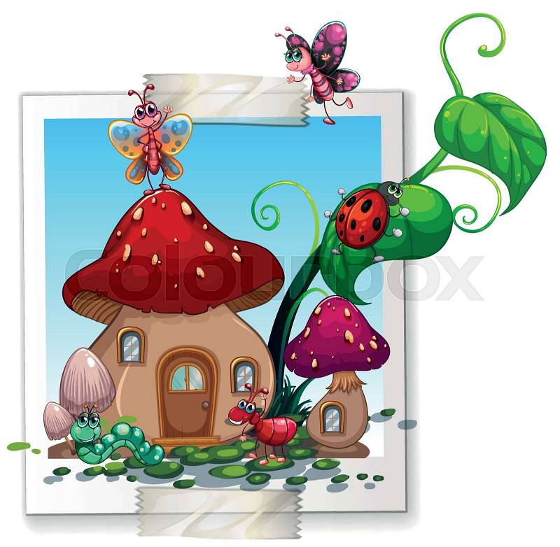 Many insects at the mushroom house illustration, vector