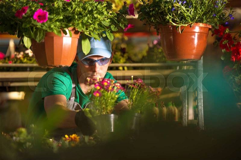 Flowers Store Owner. Caucasian Florist and His Garden Business. , stock photo