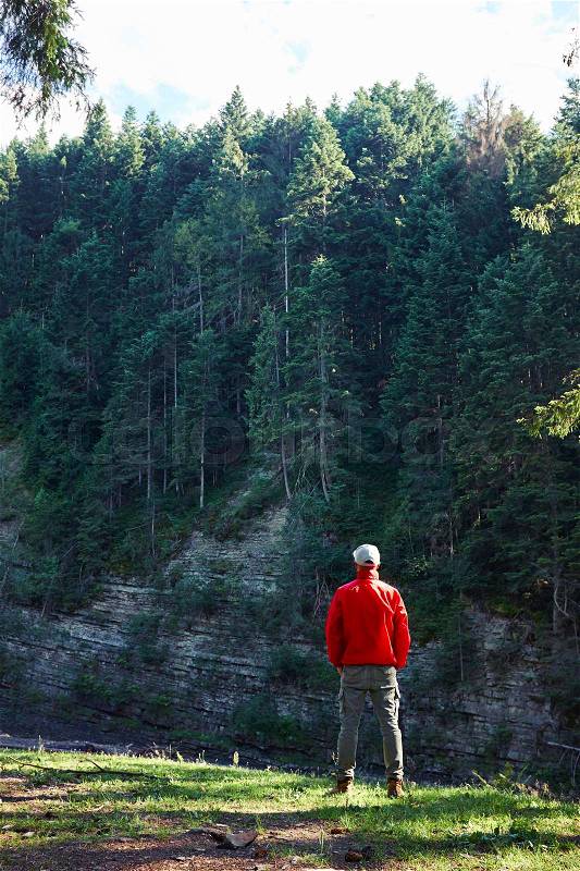 Rear view man hiker in waterproof jacket admiring the cliff and forest , stock photo