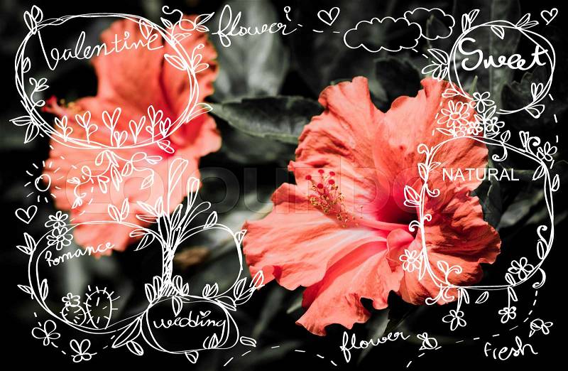 flower design drawing line background, stock photo