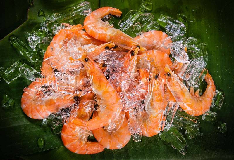 Frozen shrimp with ice cubes on a wood background, stock photo