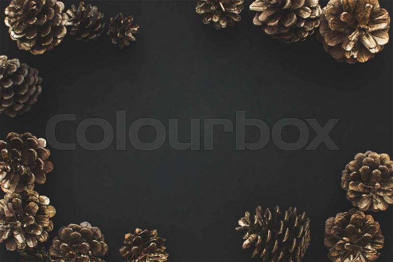 Frame of pine cones isolated on black, stock photo