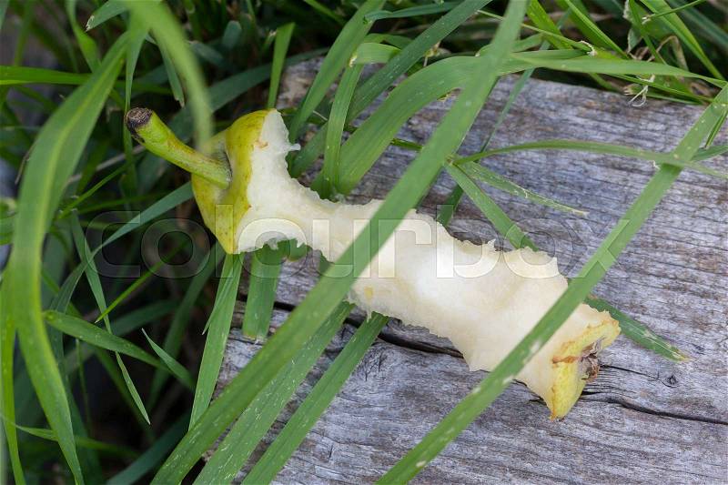 Half eaten pear thrown away, left in the grass, stock photo