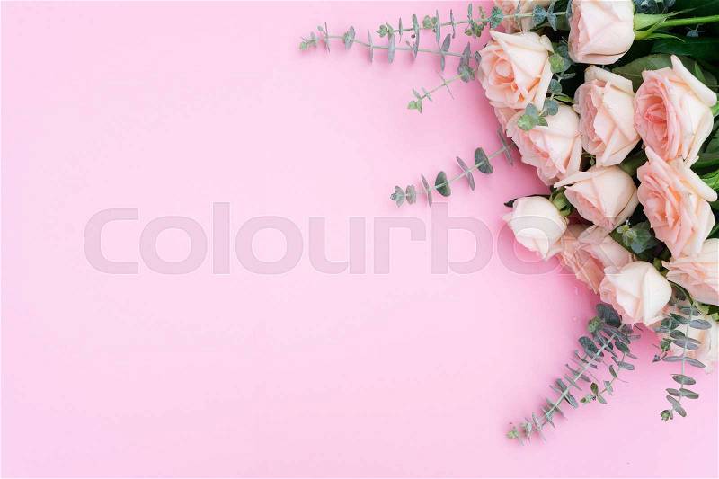 Rose flowers on pink table from above with copy space, flat lay frame, stock photo