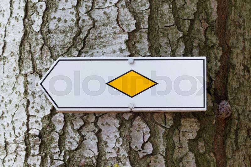 Walking path sign in a tree in Germany - Schwarzwald, stock photo