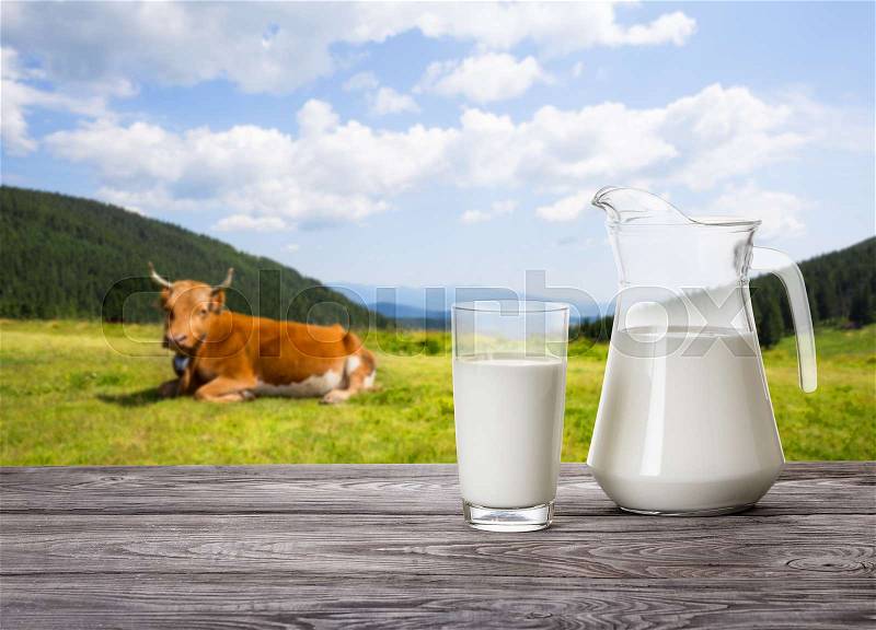 Milk in glassware on the background of a cow and pasture. Summer landscape. The concept of a natural healthy food, stock photo