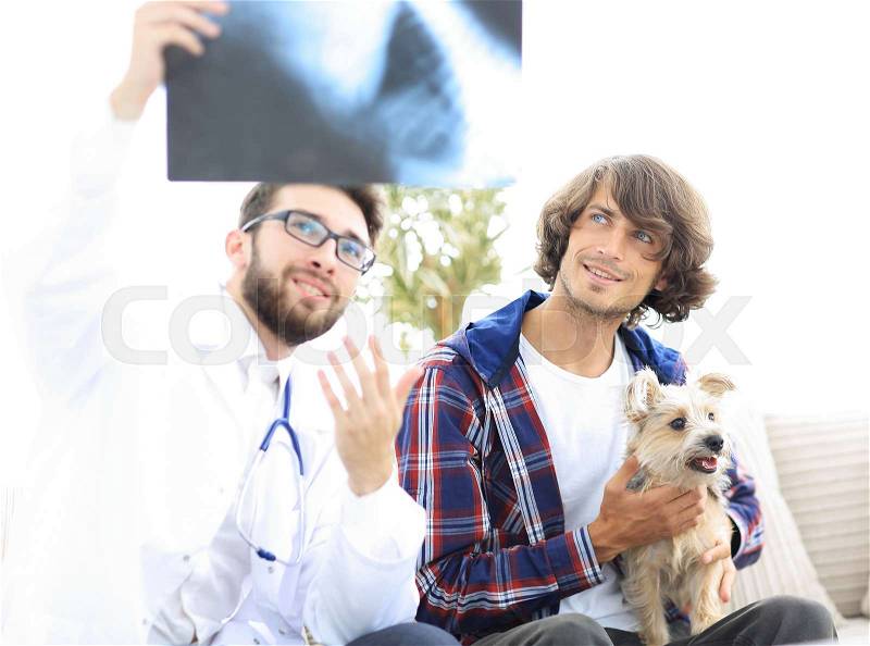 Veterinarian showing an x-ray to the owner of the dog. examination by a veterinarian, stock photo