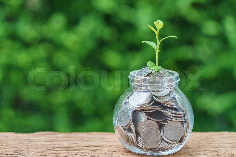 Selective focus on green sprout plant on jar with full of coins as growth finance investment concept, stock photo