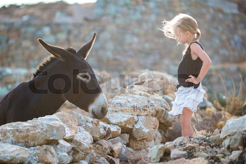Little girl stroking donkey in the green field, stock photo