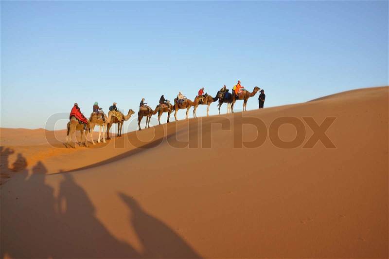 Camel trip in Sahara desert Merzouga, Morocco, north Africa, stock photo
