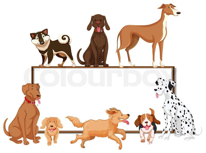 Many kinds of pet dogs on the board illustration, vector