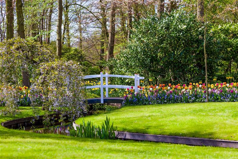 Garden landscape. modern garden design. Landscaped Yard and Garden, stock photo