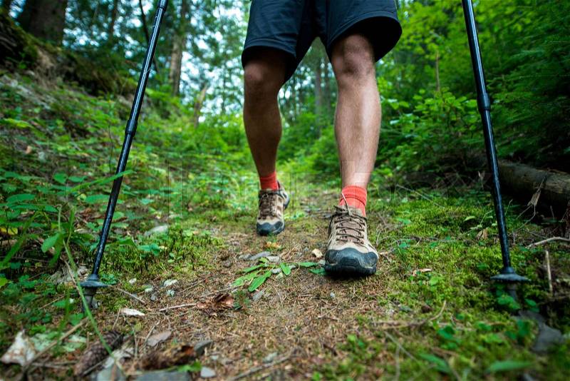Traveler in hiking boots with trekking poles walks in the forest, stock photo