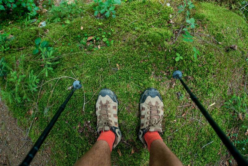 Legs of the traveler in hiking boots with trekking poles in the forest, stock photo