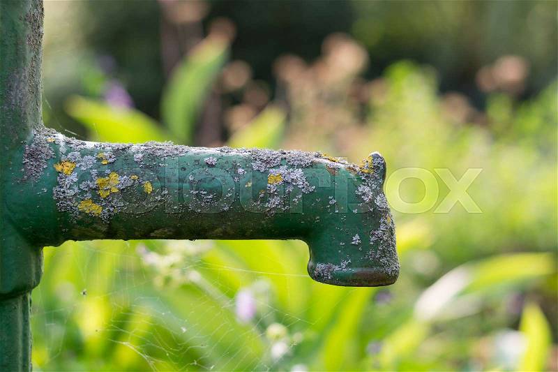 An old green rusty garden pump out of order in the garden from the side, stock photo