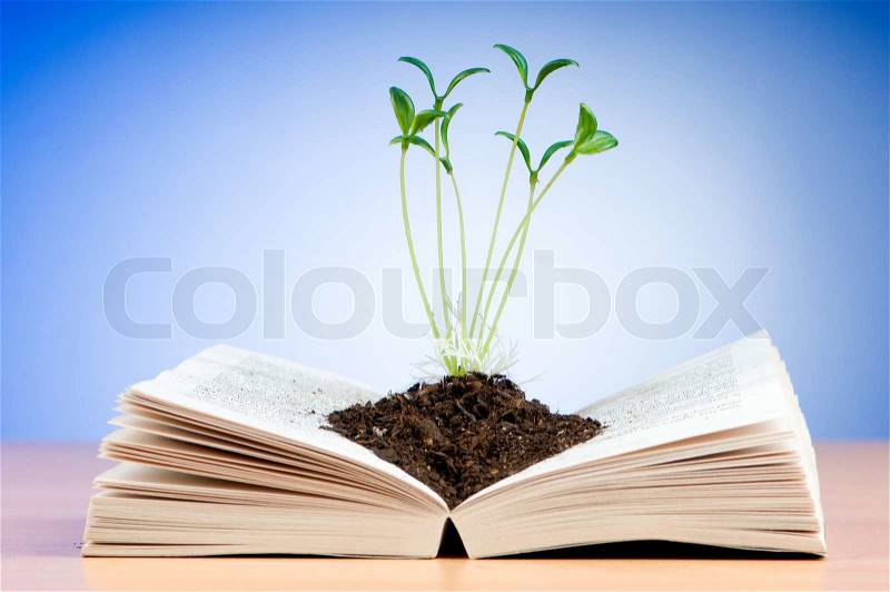 Seedlings growing from book in knowledge concept, stock photo