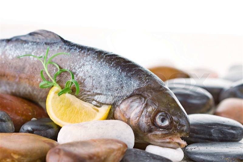 Raw trout prepared for cooking, stock photo
