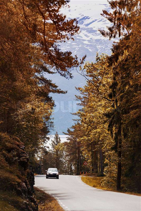 Autumn - beautiful windy road at the norwegian mountains, Norway , stock photo