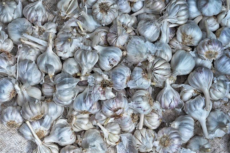 A pile of garlic bulbs, close up view, stock photo