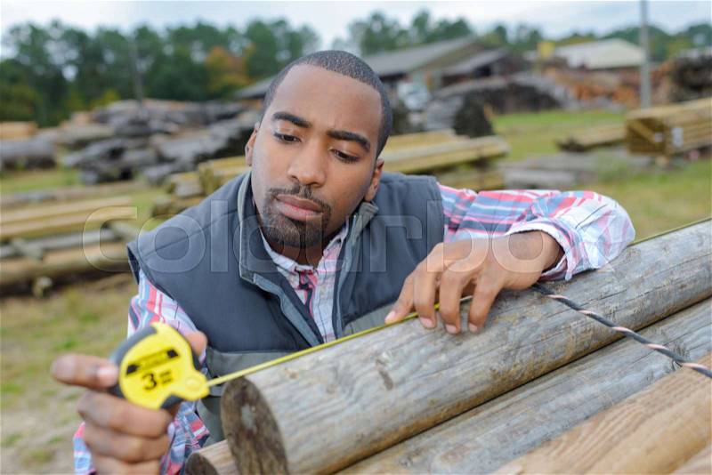 Carpenter uses a measuring tool to choose the right logs, stock photo