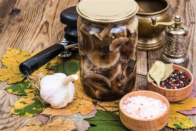 Autumnal forest marinated mushrooms in glass jar, salt, spices on wooden table. Studio Photo, stock photo