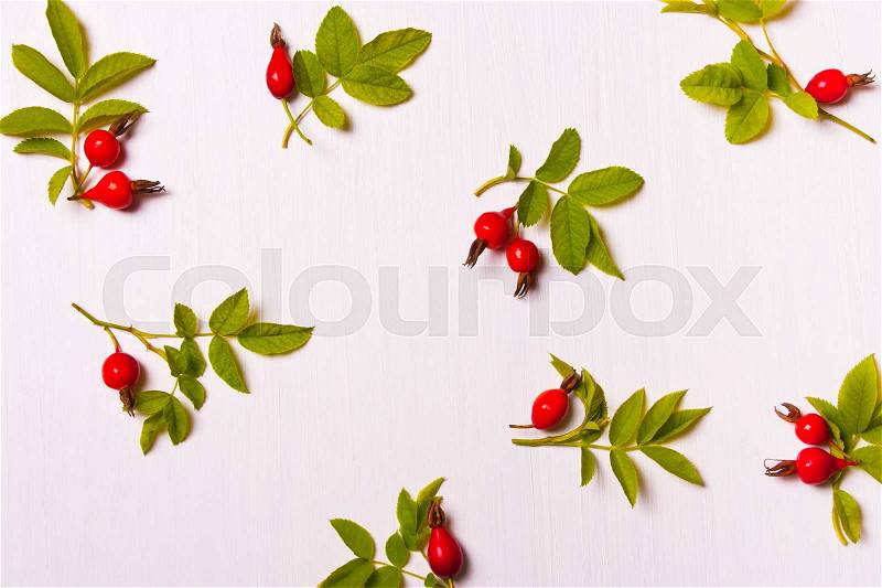 Pattern, composition of red flowers, berries and green leaves on a white background.Flat lay, top view, stock photo