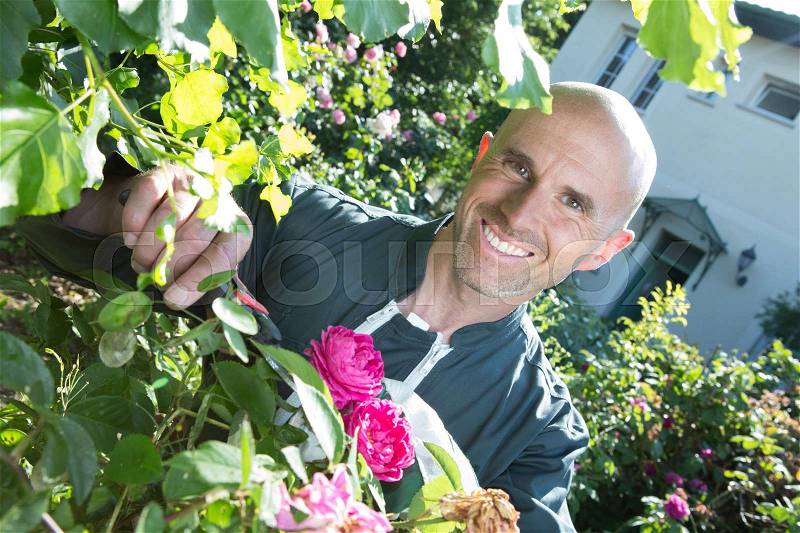 The happy gardener, stock photo