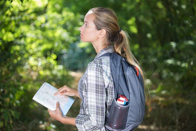 Lost in the woods, stock photo