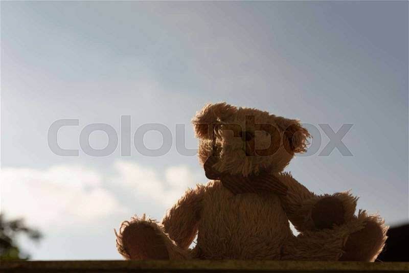 Single teddy bear with blue sky background, stock photo