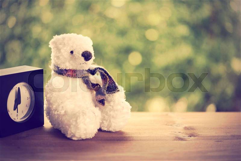 White puffy teddy bear and alarm clock in morning working day with green nature background,retro filter, stock photo