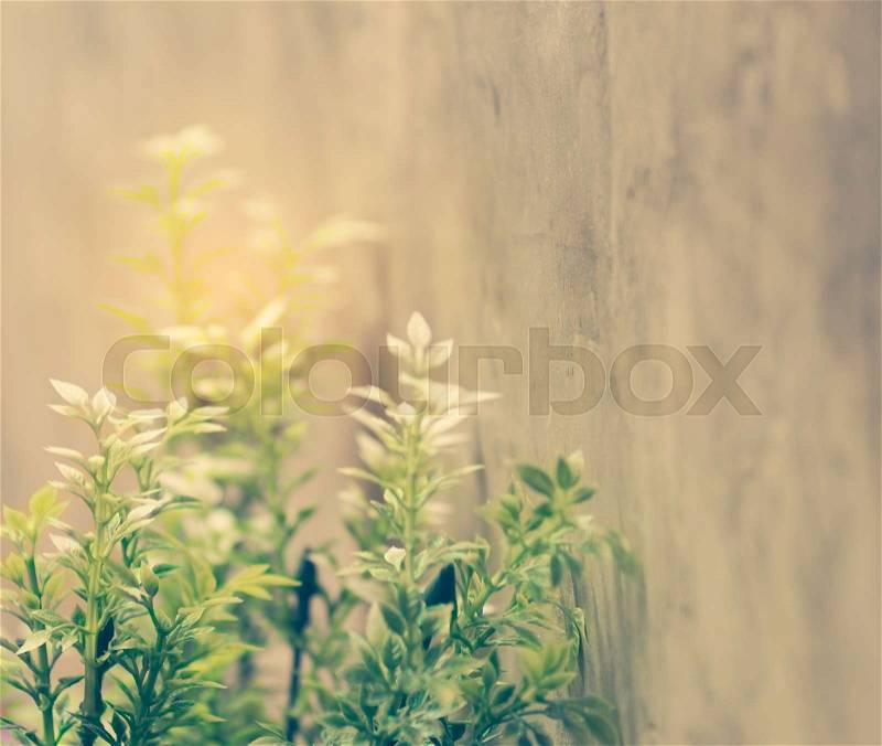 Artificial green tree over grunge cement wall background,retro filter image, stock photo