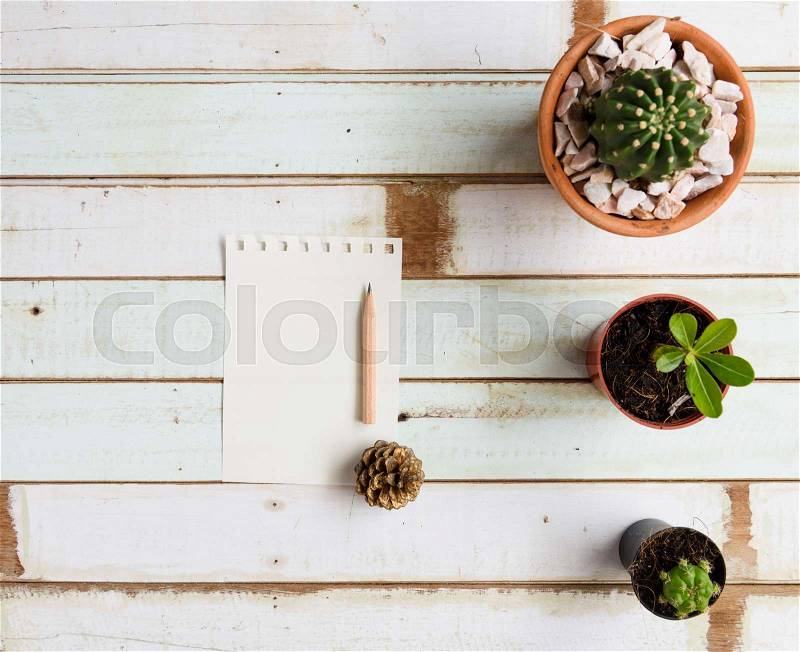 Flat lat design green cactus plant and note pad on wood table,top view, stock photo