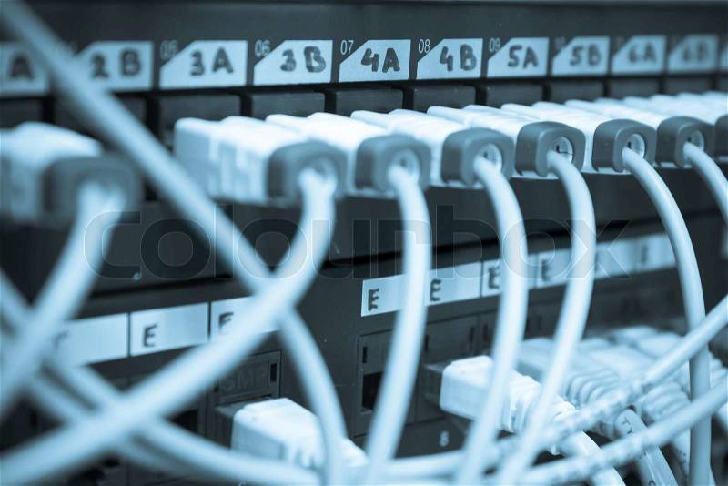 Ethernet cables maze connected to switch, stock photo