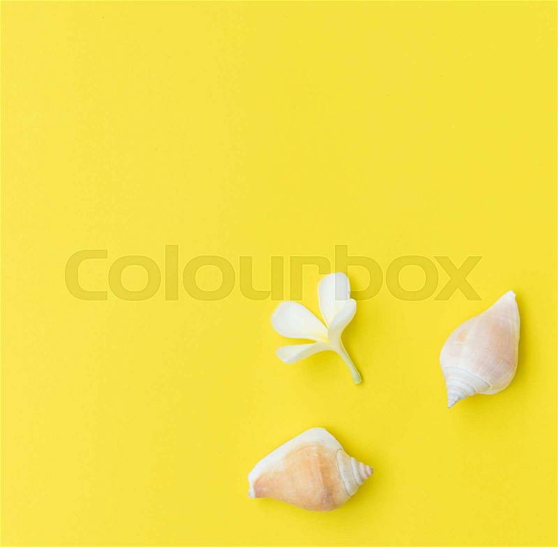 Flat lay sea shell and frangipani flower on yellow background,summer collection, stock photo