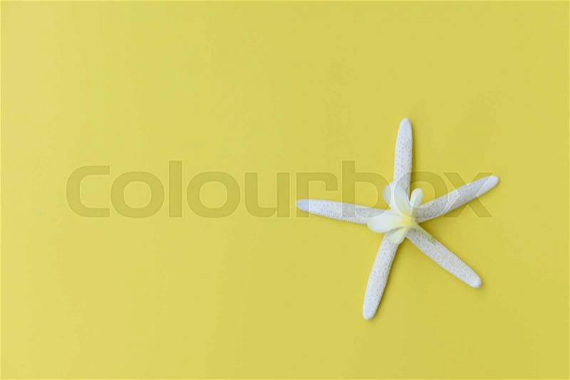 Flat lay star fish and Frangipani flower on yellow background,top view, stock photo