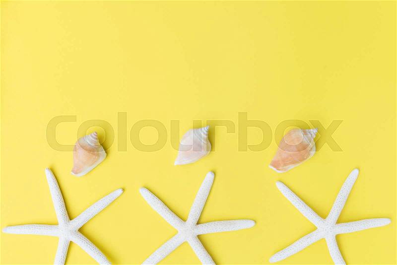 Flat lay star fish and sea shell on yellow background,top view, stock photo
