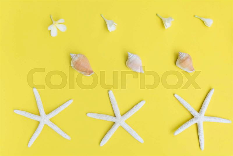 Flat lay star fish,flower and sea shell on yellow background,summer collection, stock photo
