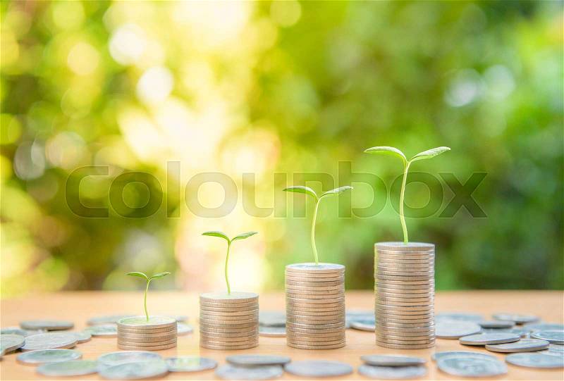 Plant growing up on the growing coin stack with nature background, stock photo