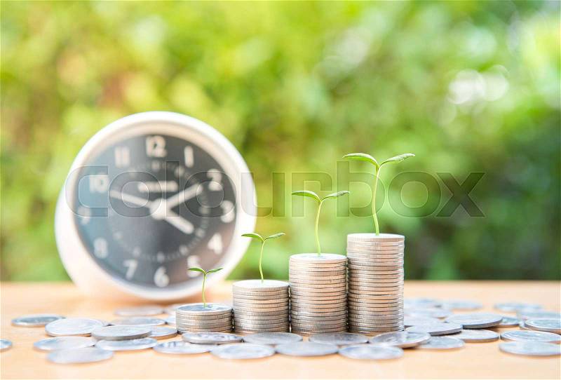 Plant growing up on the growing coin stack with clock and nature background, stock photo
