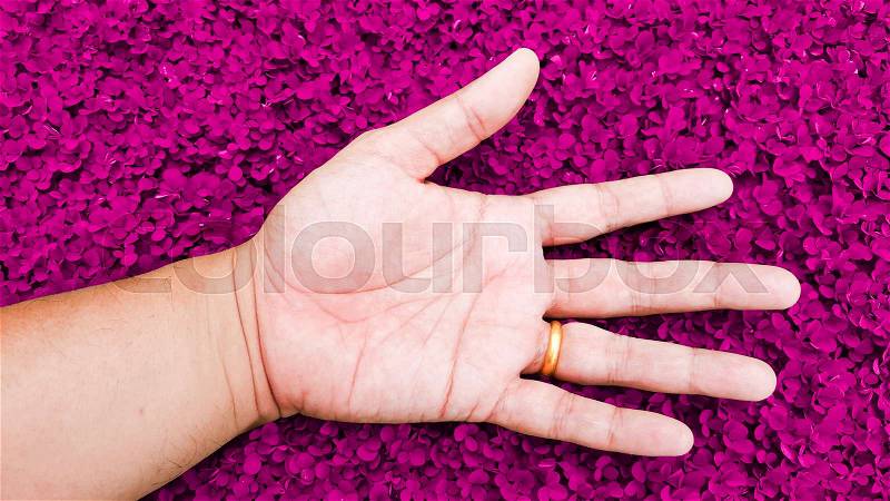 Relax with hand on love pink color grass background, desmodium triflorum, stock photo