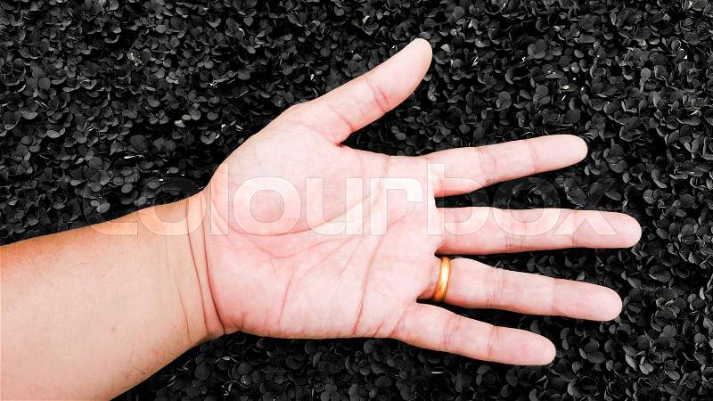 Relax with hand on dead black color grass background, desmodium triflorum, stock photo