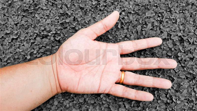 Relax with hand on cry grey color grass background, desmodium triflorum, stock photo