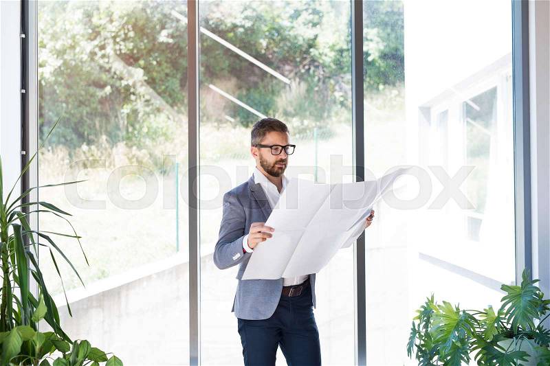 Handsome young businessman in his office studying plans, stock photo