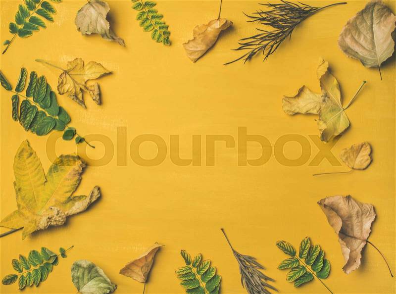 Autumn or Fall pattern, background and texture. Flat-lay of dried yellow and green tree leaves over mustard yellow painted wooden background, top view, copy space, stock photo