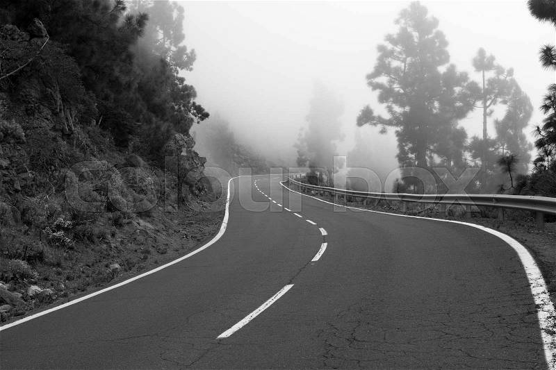 Black asphalt way in forest. Road curve. Black and white, stock photo