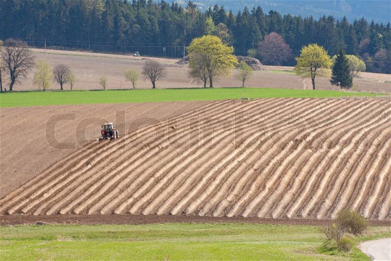 Tractor planting potatoes in the springtime, stock photo