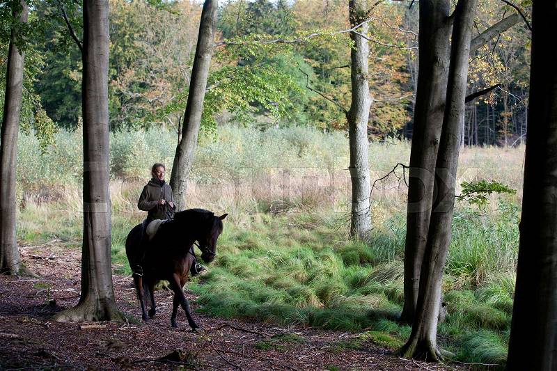 Woman riding a horse on in a forest in Denmark, stock photo