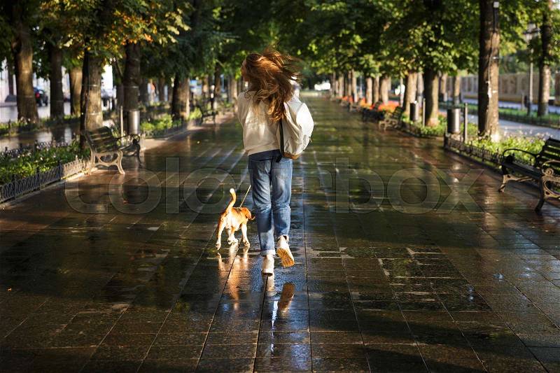 Full length back view image of Brunette woman in autumn clothes walks with dog in park, stock photo