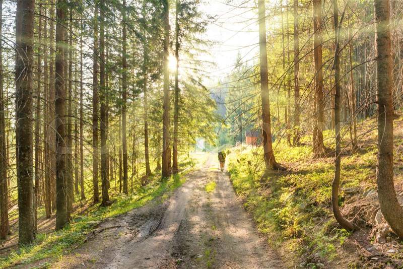 Landscape with a man on road in the green forest and rays of sun light, stock photo